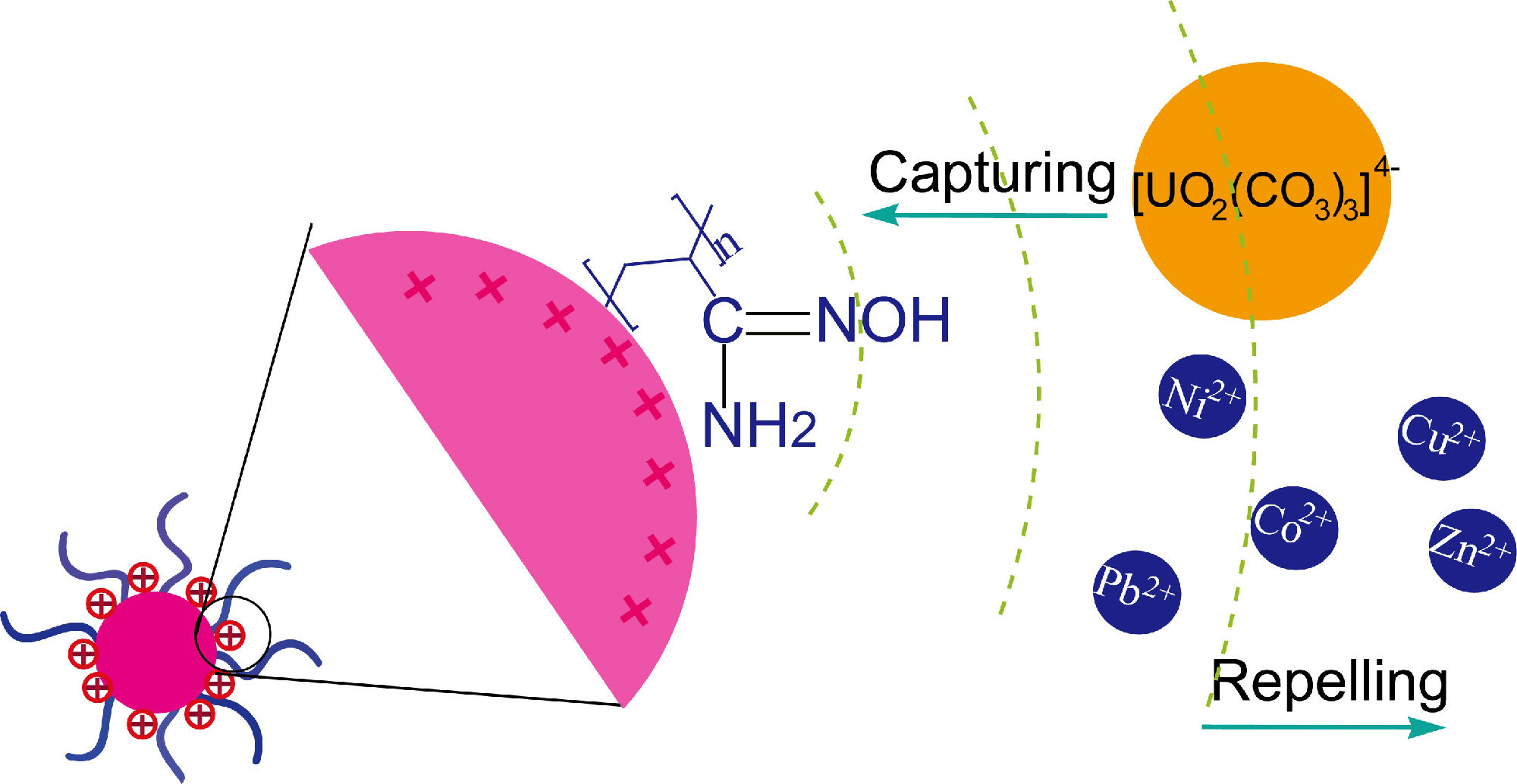 Graphical abstract.jpg