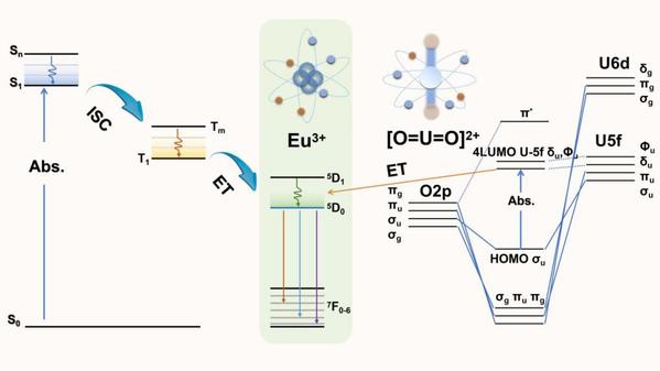 J. Am. Chem. Soc在线发表张瑜港、汪遐、徐柯心在锕系元素化学和辐射探测领域取得的新进展